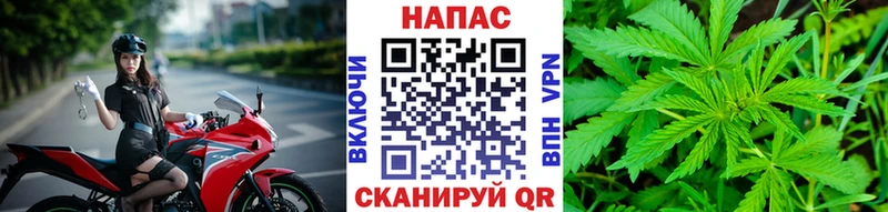 купить наркотики сайты  Харовск  блэк спрут маркетплейс  Бошки Шишки SATIVA & INDICA 